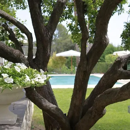 Villa Luxurious 4 Bedrooms In Secluded Area, Swimming Pool Valbonne