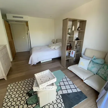 Luxurious 4 Bedrooms In Secluded Area, Swimming Pool Villa Valbonne